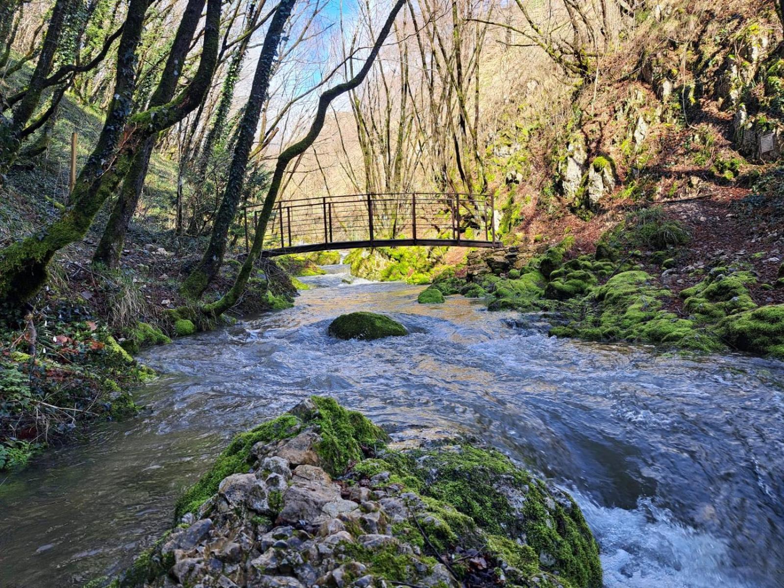 B&B Vivilmatese Roccamandolfi Kültér fotó