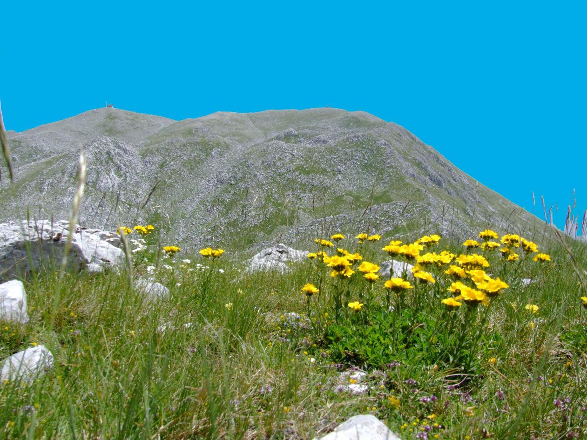 B&B Vivilmatese Roccamandolfi Kültér fotó